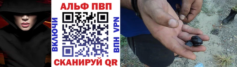 A PVP СК КРИС Владимир