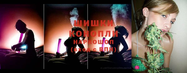 ГАЛЛЮЦИНОГЕННЫЕ ГРИБЫ Абаза