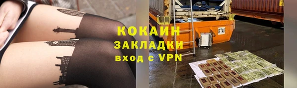 ГАЛЛЮЦИНОГЕННЫЕ ГРИБЫ Абаза