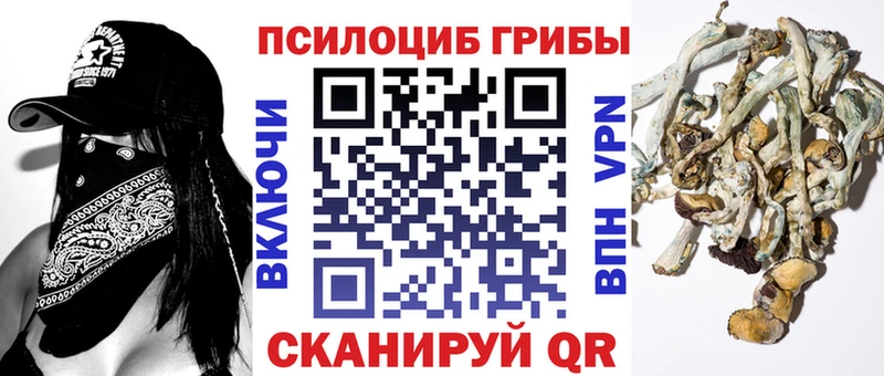 omg ссылки  Владимир  Псилоцибиновые грибы Psilocybine cubensis 